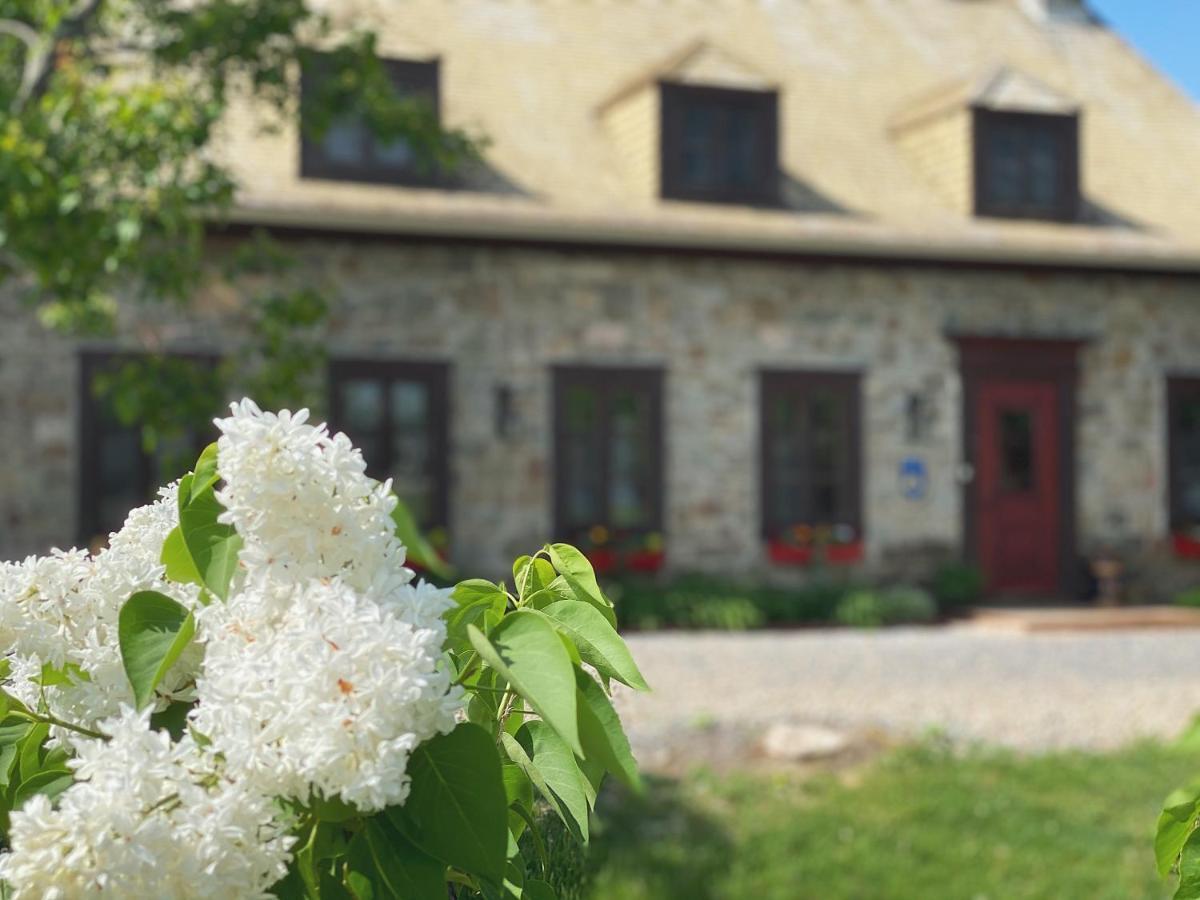 Domaine Steinbach Cidrerie B&B Distillerie St-Pierre-de-l'Île-d'Orléans Esterno foto